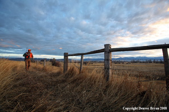 Big Game Hunter in field
