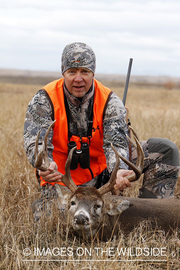 White-tailed deer hunter with downed buck.
