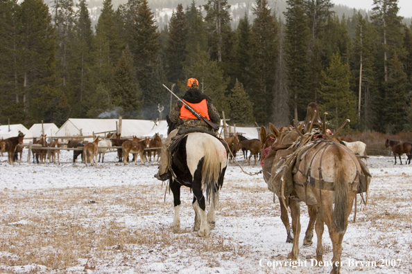 Elk hunt packstring in mountains