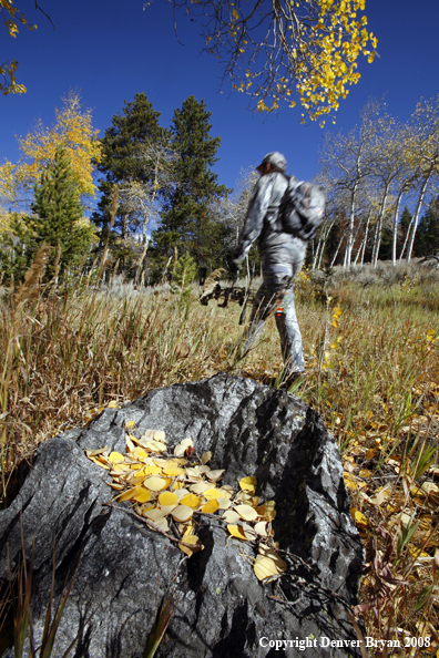 Bow Hunter Scouting For Big Game