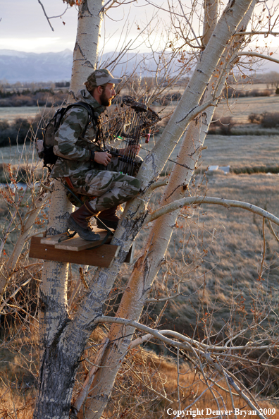 Bowhunter sitting in tree stand.