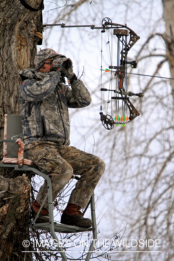 Bowhunter in tree stand glassing.