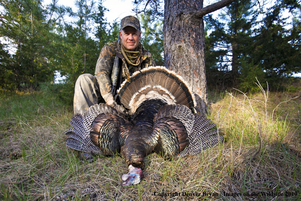 Hunter with bagged (Merriam's) turkey
