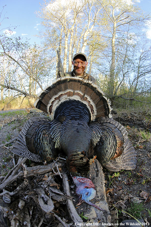 Turkey hunter with bagged turkey.
