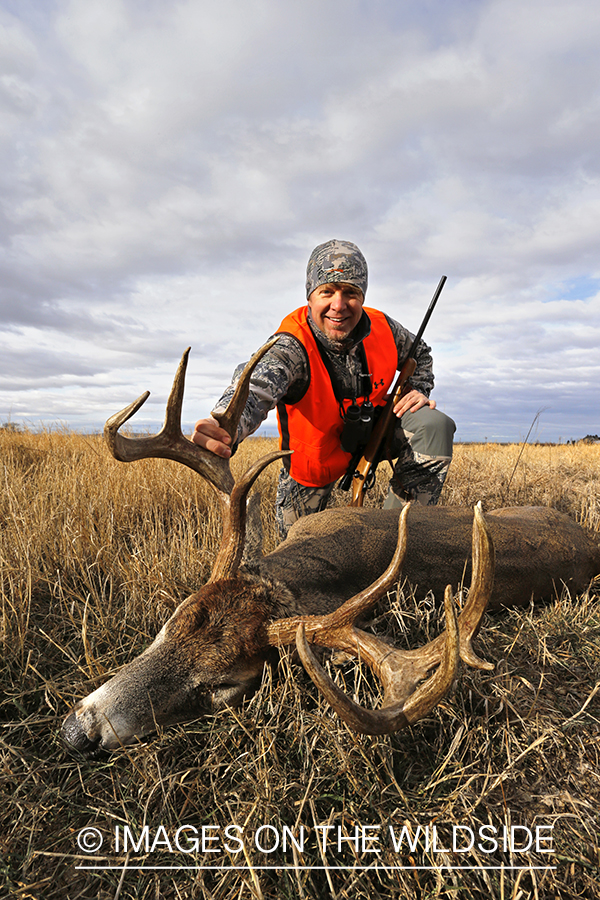 White-tailed deer hunter with downed buck.