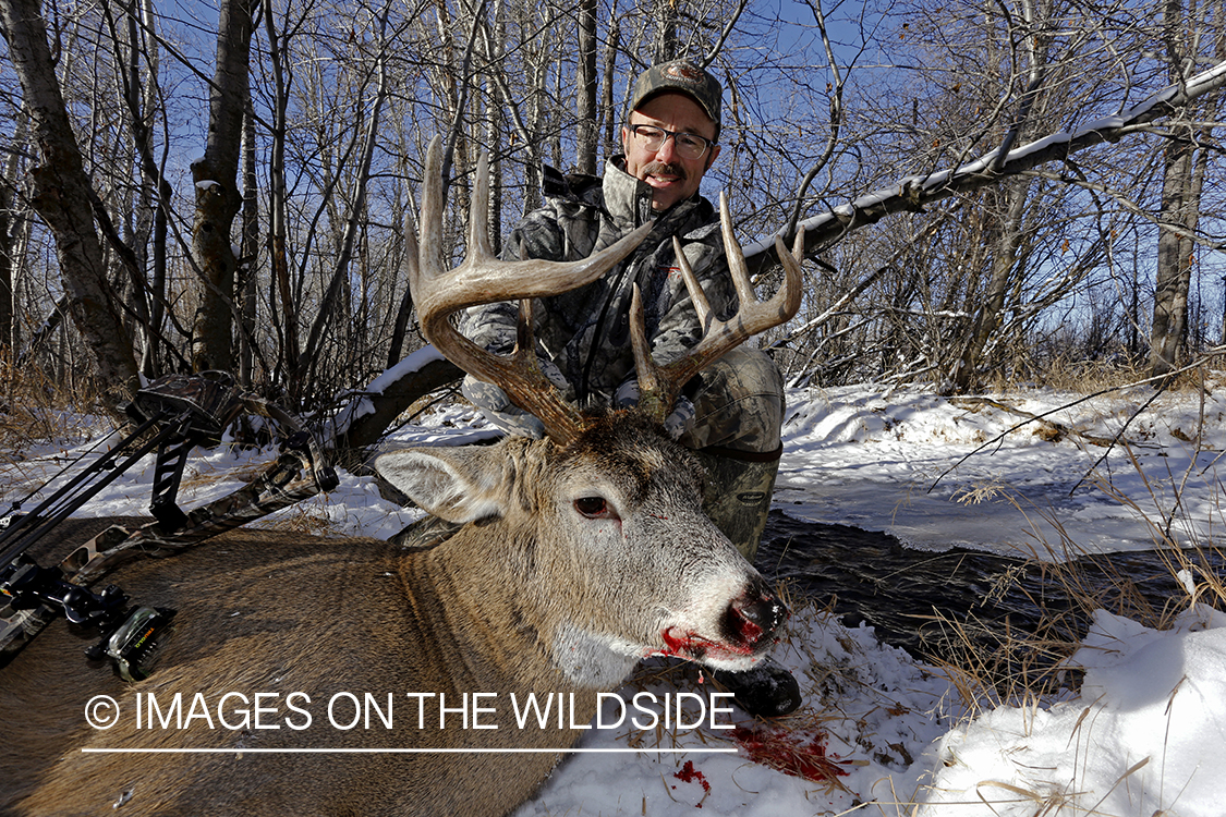Bowhunter with downed white-tailed buck.