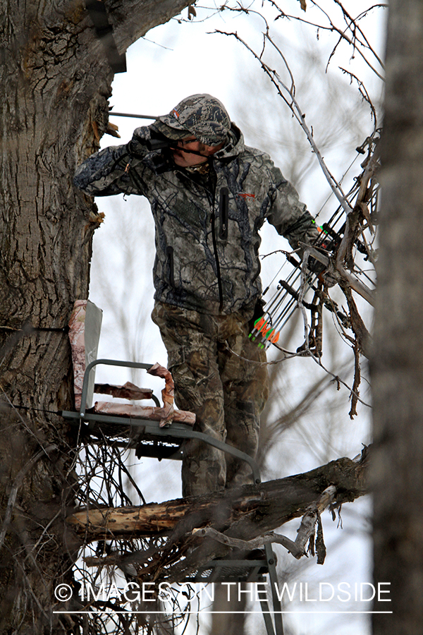 Bowhunter in tree stand glassing.