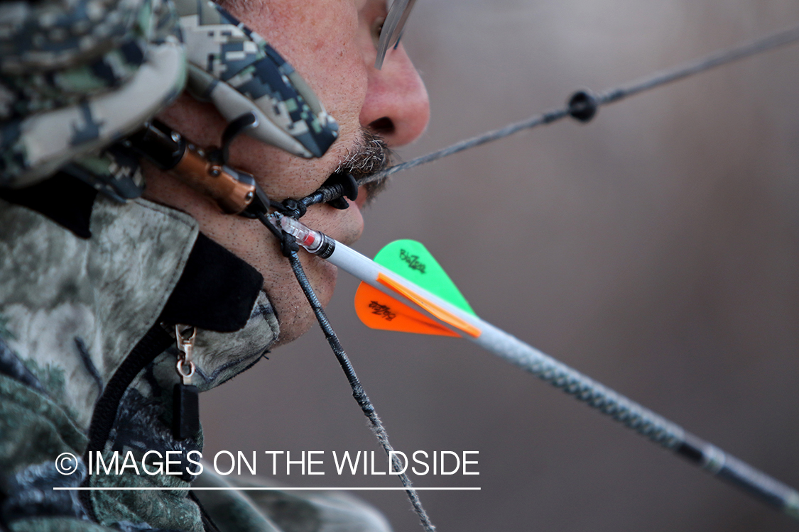 Bow hunter shooting arrow using arrow release attached to string.