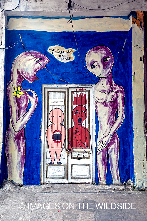 Street art in Havana, Cuba.