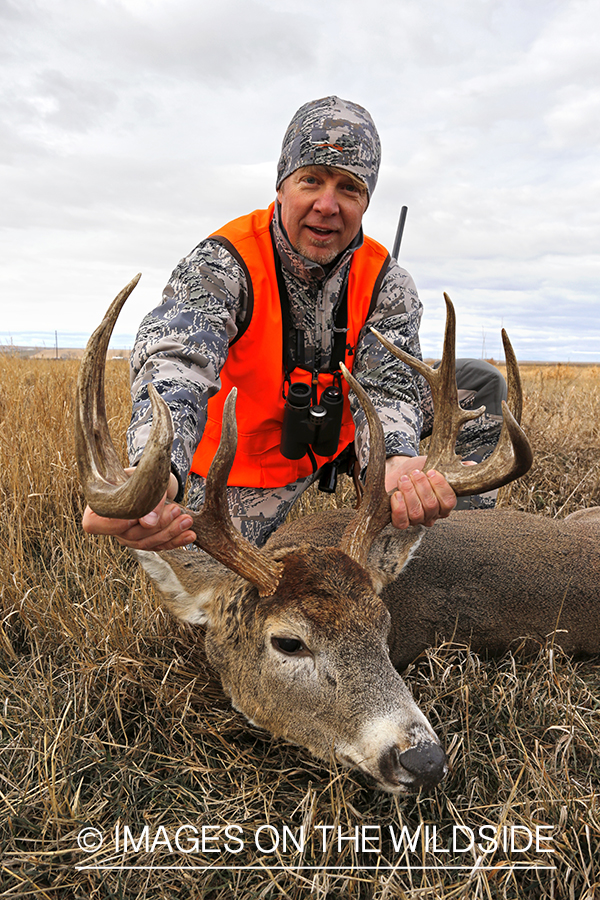 White-tailed deer hunter with downed buck.