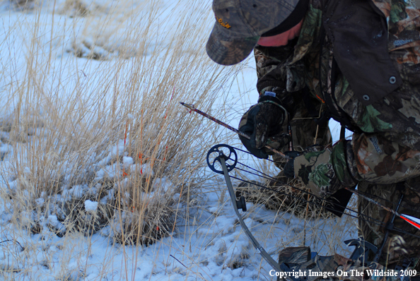 Bowhunter Trailing Blood