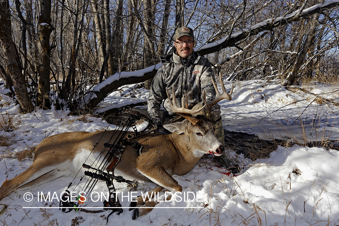 Bowhunter with downed white-tailed buck.