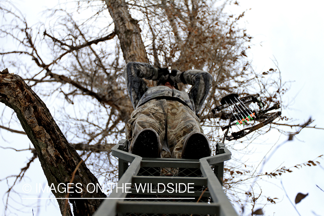 Bowhunter in tree stand glassing.