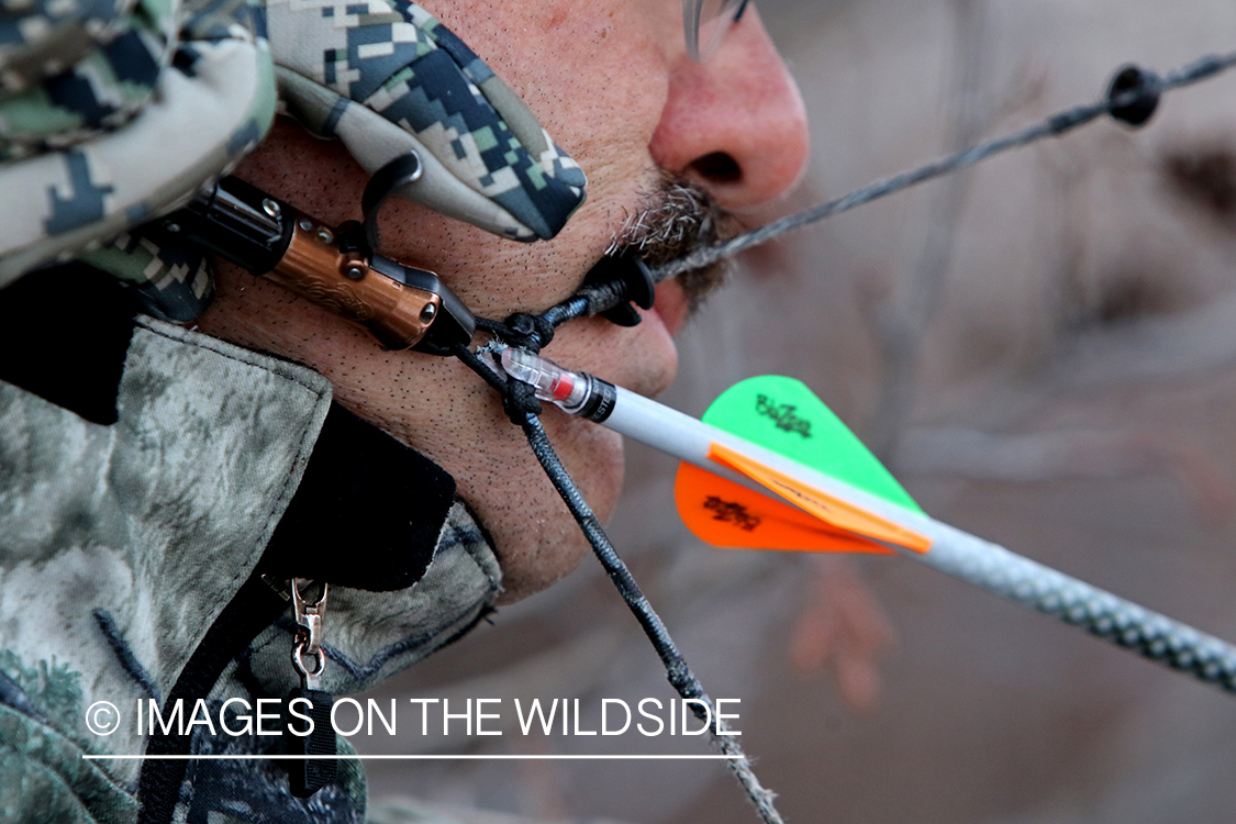 Bow hunter shooting arrow using arrow release attached to string.