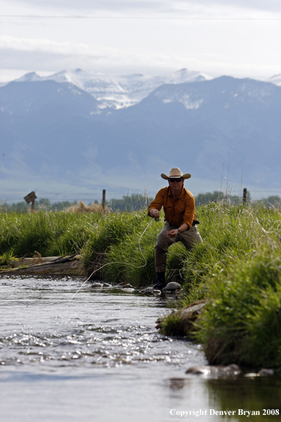 Flyfisherman fishing spring creek.