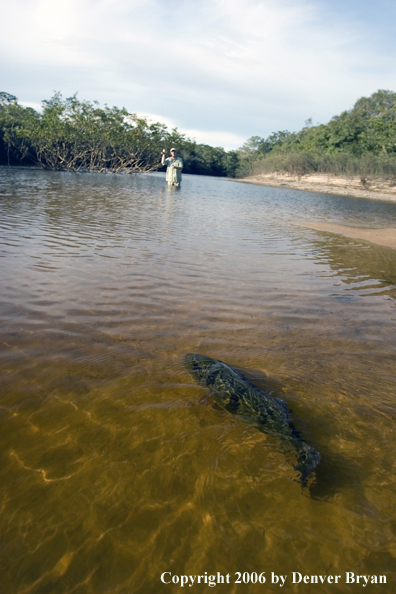 Peacock Bass fishing.