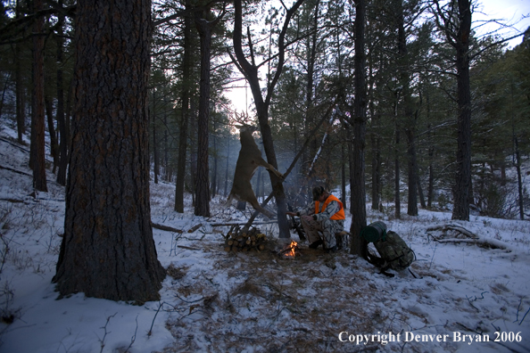 Deer hunter with bagged deer in camp in winter.  