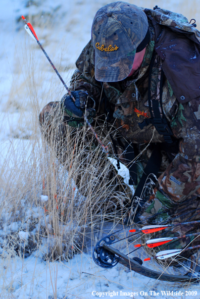 Bowhunter Trailing Blood