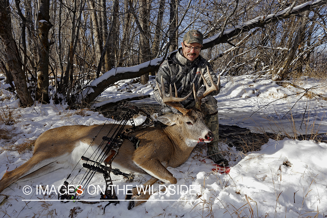 Bowhunter with downed white-tailed buck.