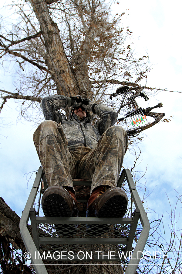 Bowhunter in tree stand glassing.