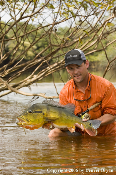Fisherman holding Peacock Bass