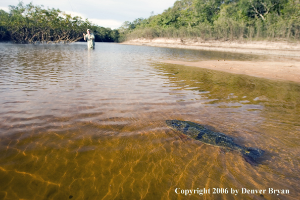 Peacock Bass fishing.