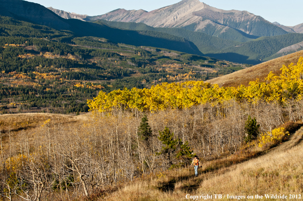 Big game hunter in landscape. 