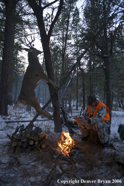 Deer hunter with bagged deer in camp in winter.  