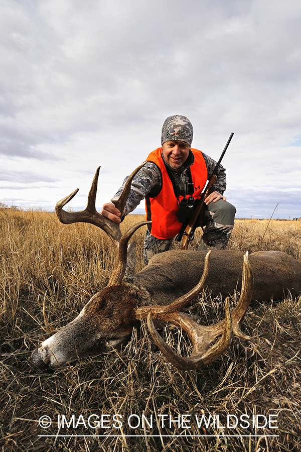 White-tailed deer hunter with downed buck.
