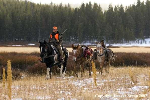 ELk hunter with pack string