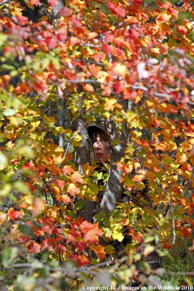 Bowhunter scouting for big game through trees. 