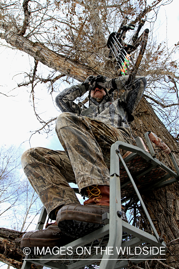 Bowhunter in tree stand glassing.