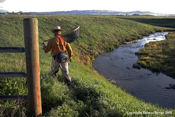 Flyfisherman fishing spring creek.