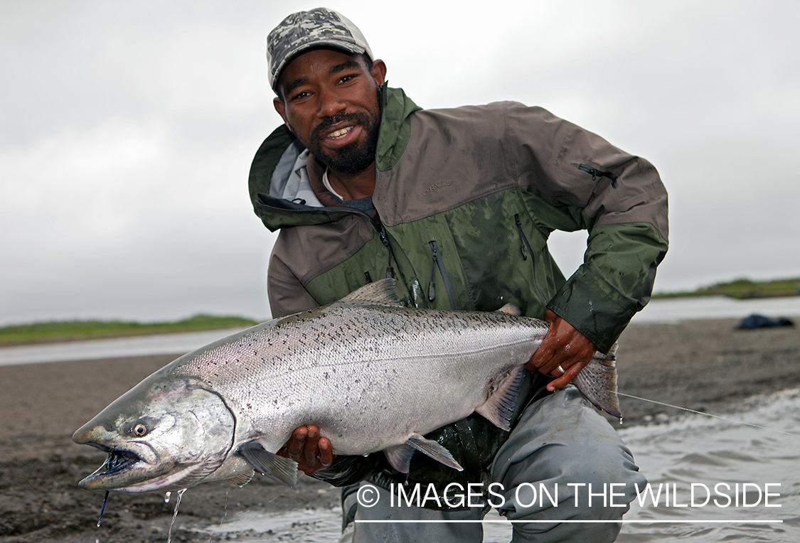 Flyfisherman with King Salmon in Alaska. 