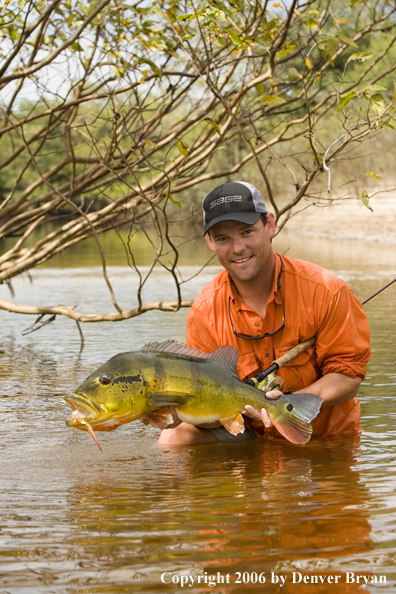 Fisherman holding Peacock Bass