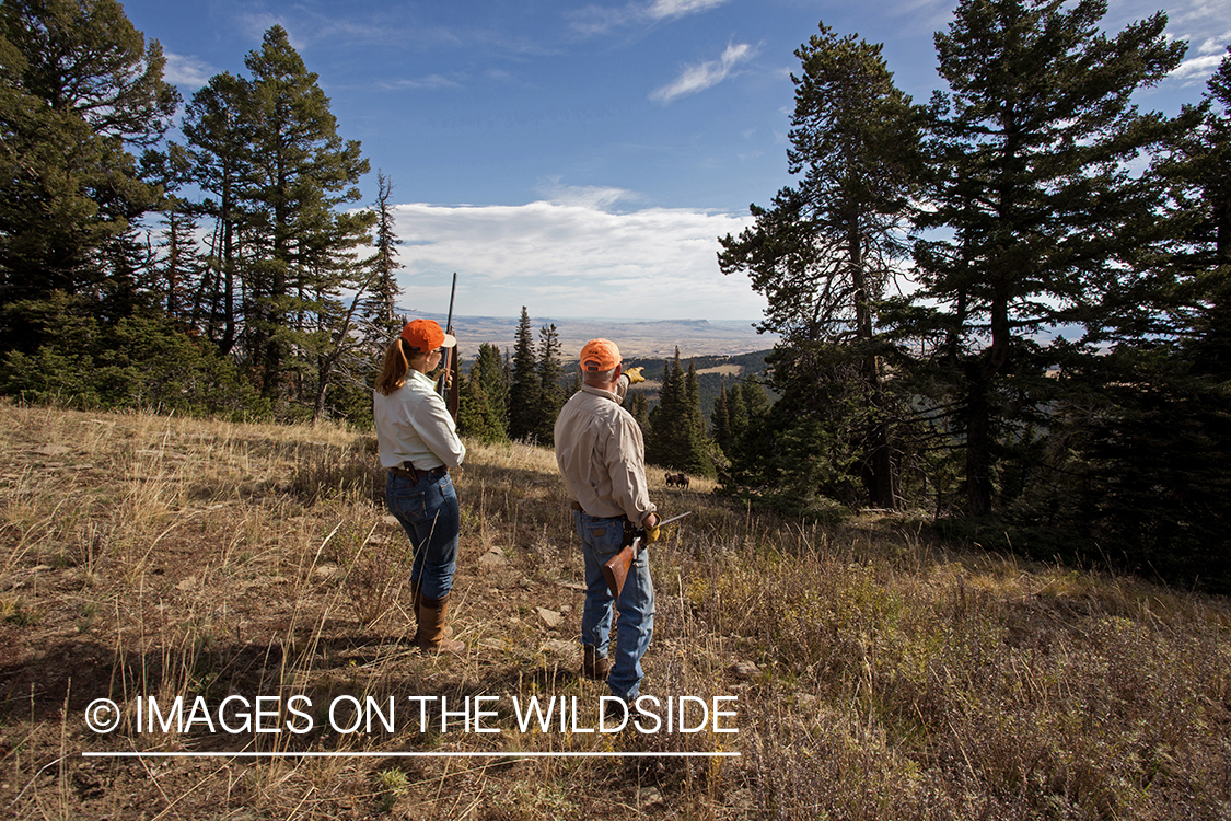 Upland game bird hunters in field hunting Dusky (mountain) grouse.