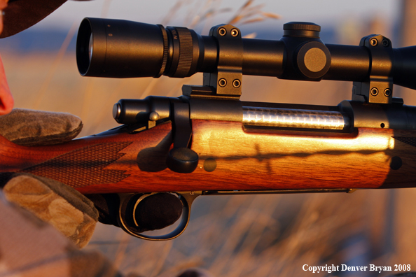 Big Game Hunter in Field