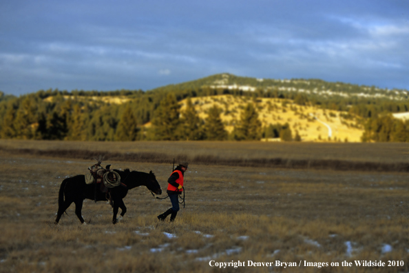 Hunter with horse and game (Original image # 11020-078.09)