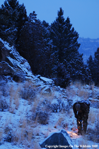 Bowhunter Trailing Blood