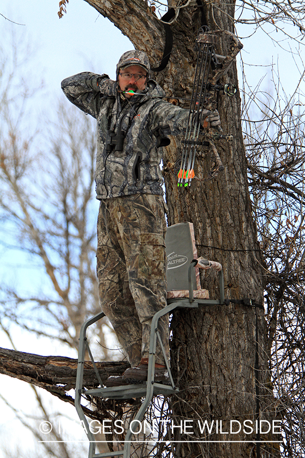 Bowhunter in tree stand taking aim. 