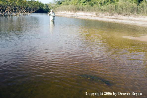 Peacock Bass fishing.