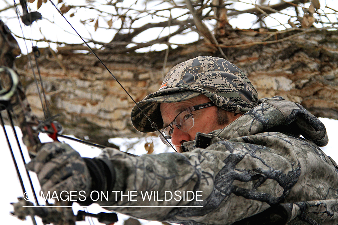 Bowhunter in tree stand taking aim. 