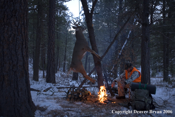 Deer hunter with bagged deer in camp in winter.  