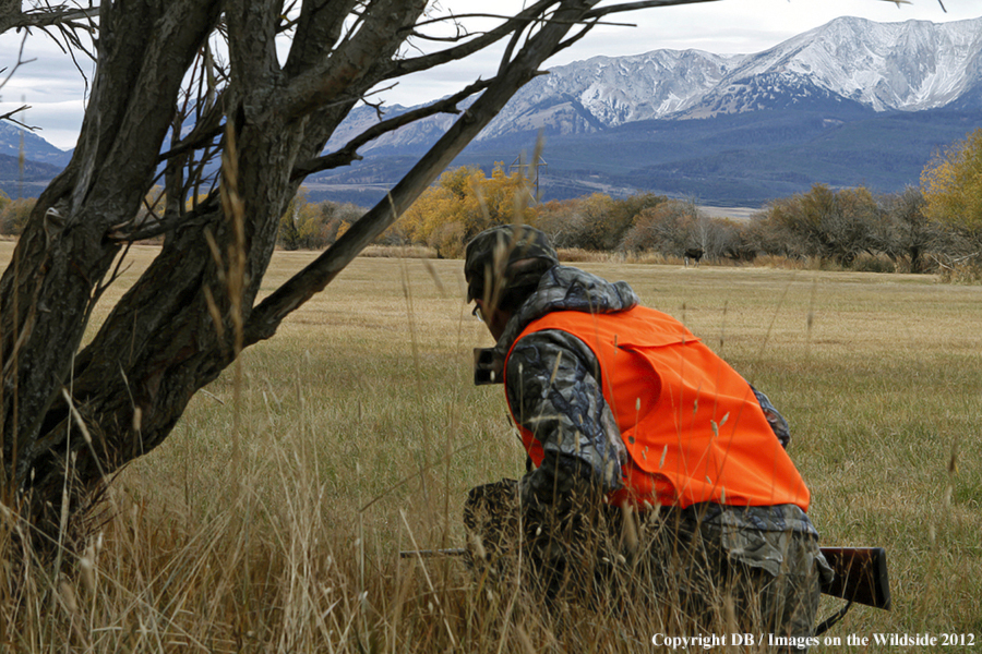 Hunter tracking moose.