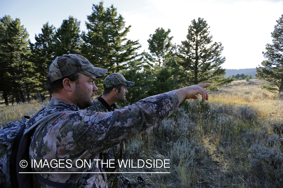 Bowhunters tracking Rocky Mountain Elk.