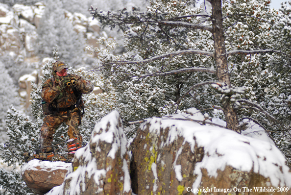 Bowhunter Glassing in Field