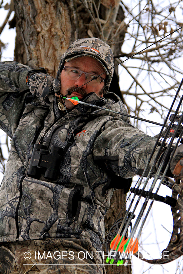 Bowhunter in tree stand taking aim. 