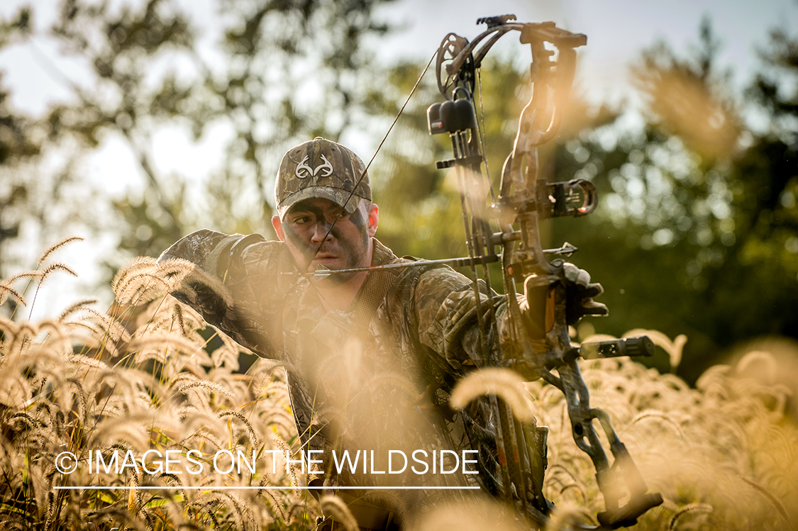 Bow hunter in field aiming at game.