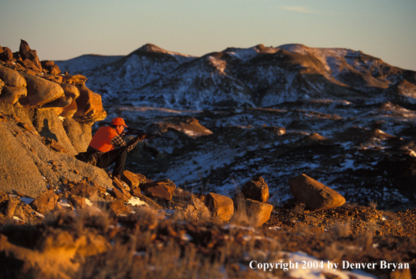 Big game hunter aiming/shooting.