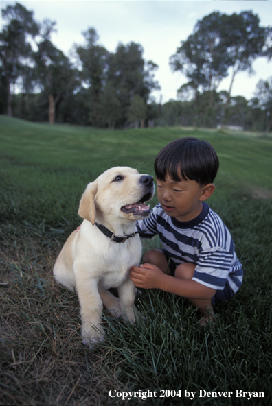 Child with yellow Labrador Retriever puppy